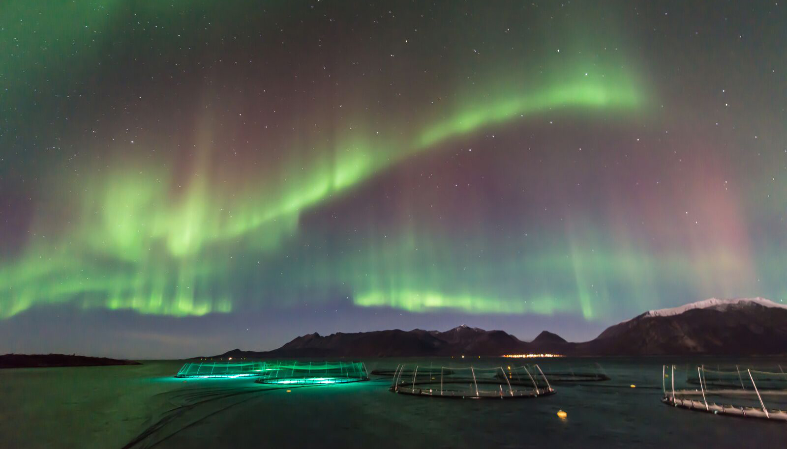 Nordlys over merder i havet